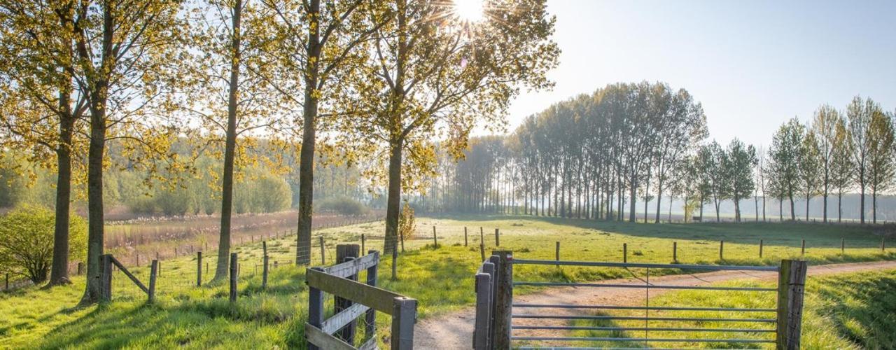 'relax Sea' - Wellness In Zeeland - Private Sauna - Airco - Garden - Outdoor Swimming Pool - Free Wifi, Towels & Bed Linen Ferienhaus